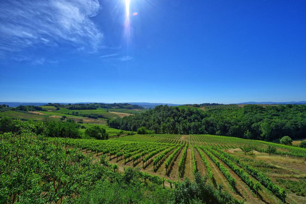 Azienda Agricola Fornacelle